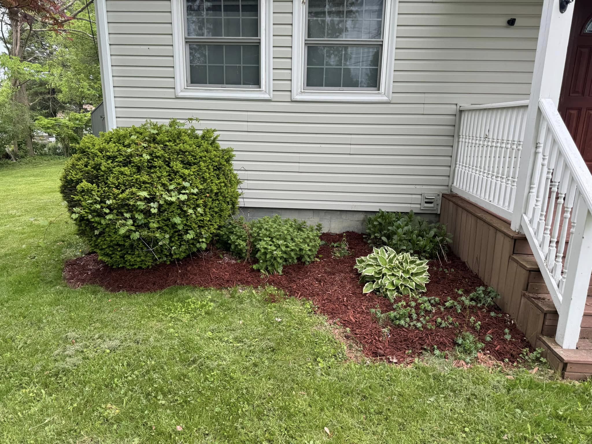 Bush Hedging & Trimming